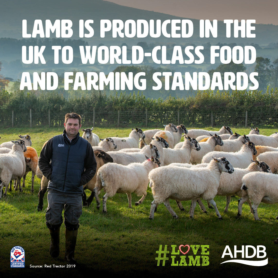 love lamb week infographic